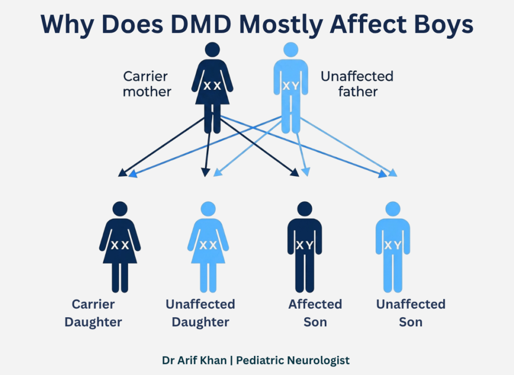 Duchenne muscular dystrophy treatment